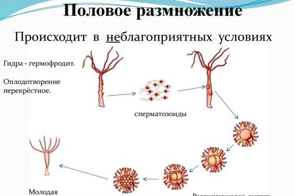 Кракен новая гидра