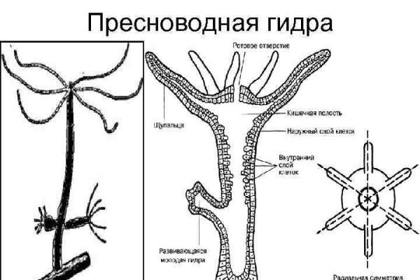 Проверенная ссылка кракен